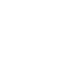 Security Testing icon